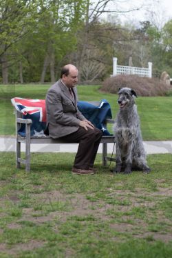 caerwicce deerhounds